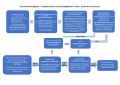 Link zum Organigramm Kind in Schwierigkeiten Organigramm
